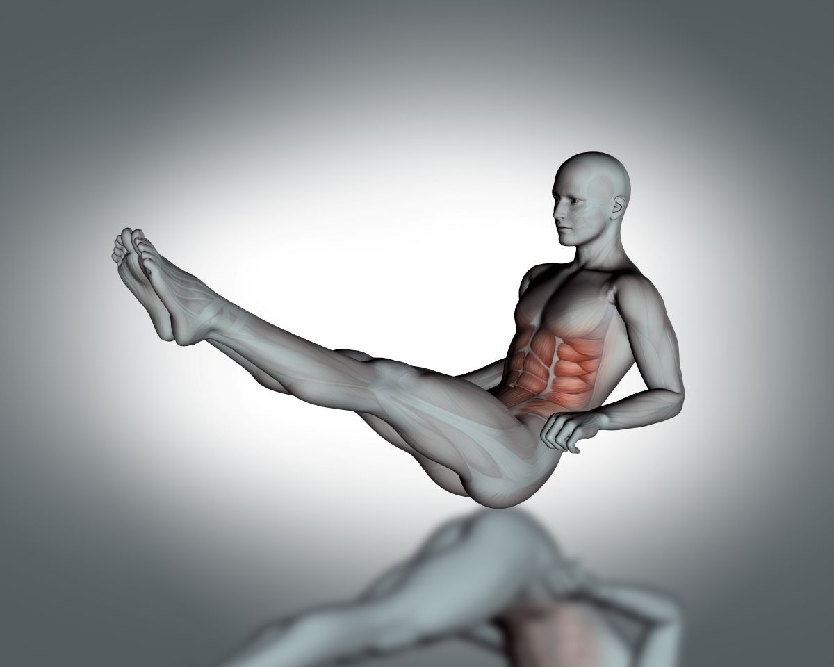 Illustration showing abdominal muscle activation during core engagement exercise